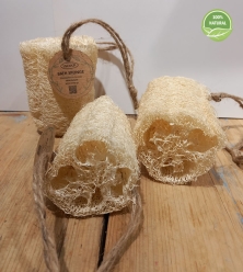 Luffa Sponge